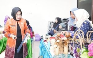 Wakil Ketua TP PKK Apresiasi Produk Lokak UMKM Tanah Bumbu