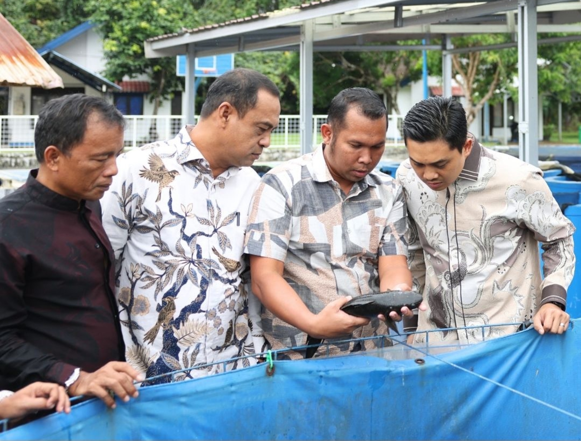 Kejar Kemandirian Pangan, DPRD Tanah Bumbu “Berguru” Bibit Unggul ke BPBAT Mandiangin